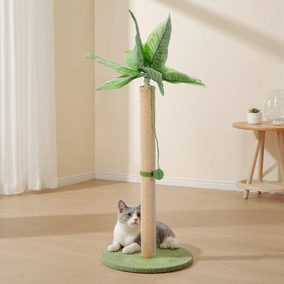 Cat Scratching Post near Furniture: The Smart Way to Protect Your Home
