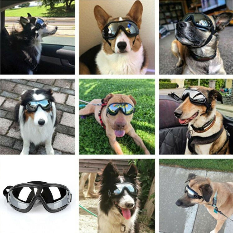 Dog Sunglasses