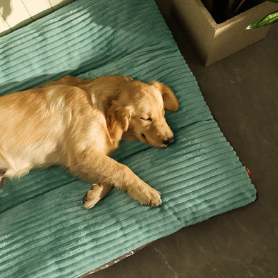 Cozy Haven: Washable Dog & Cat Bed for All Seasons