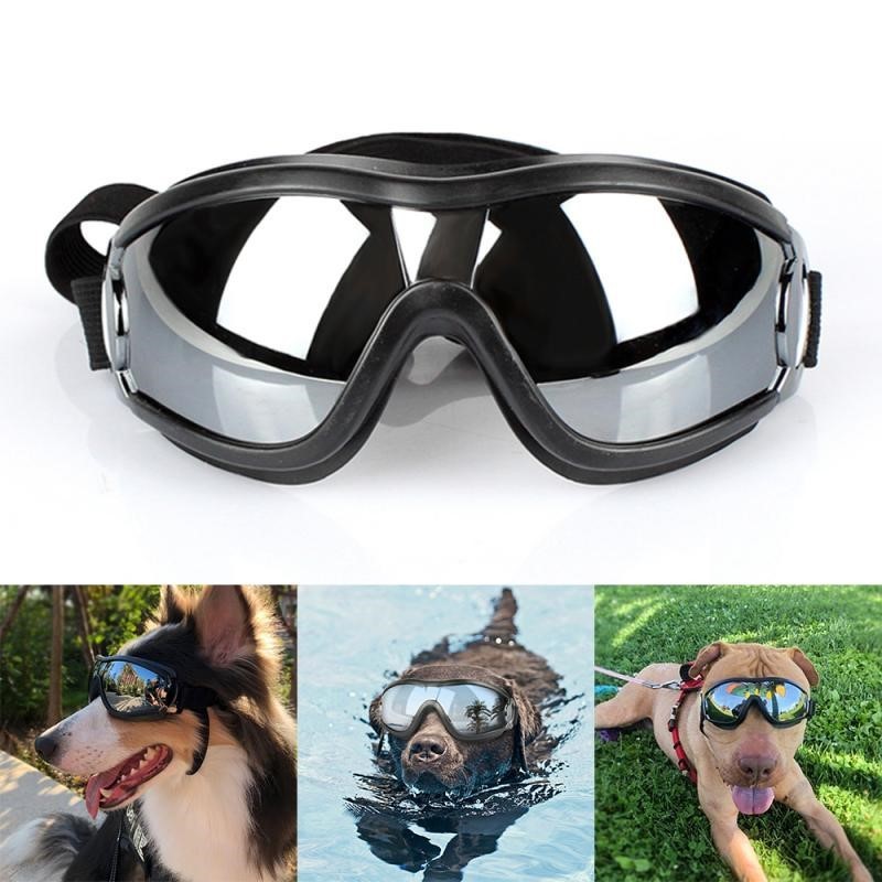 Dog Sunglasses