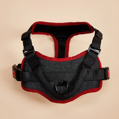 Soft Padded Harness