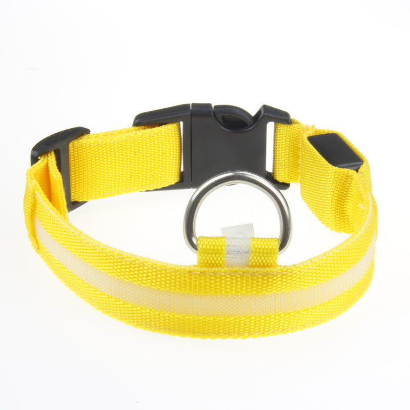 Pet Safety Gear