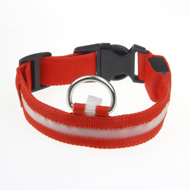 Pet Safety Gear