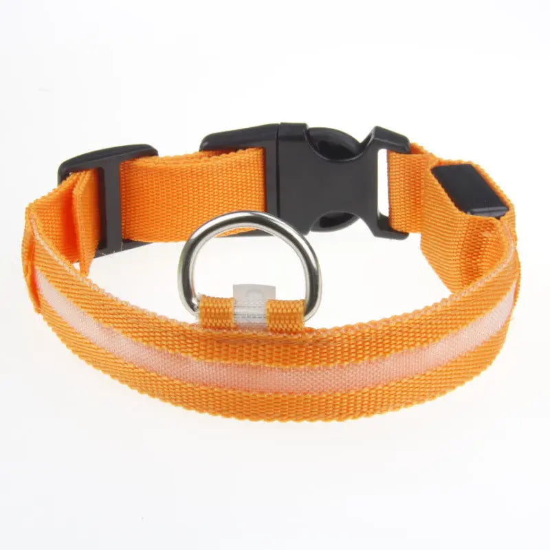 Pet Safety Gear
