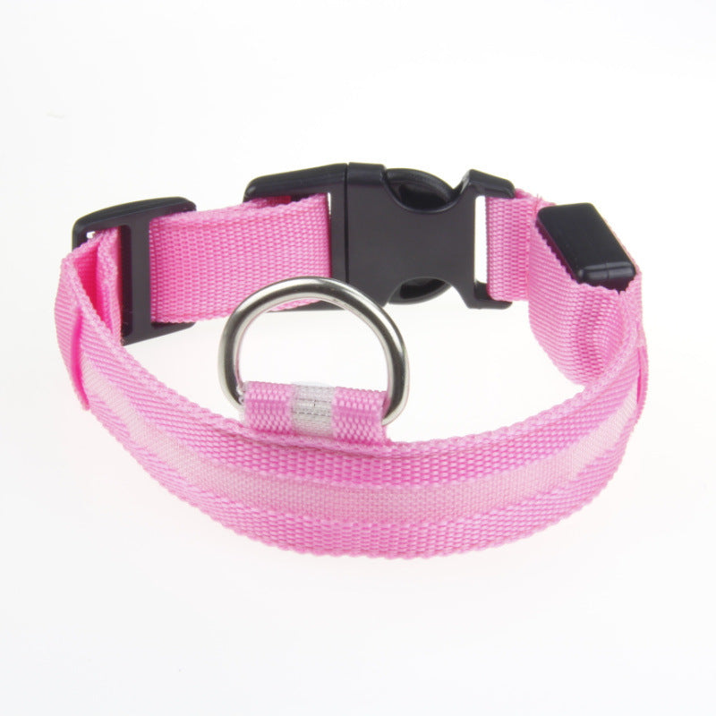 Pet Safety Gear