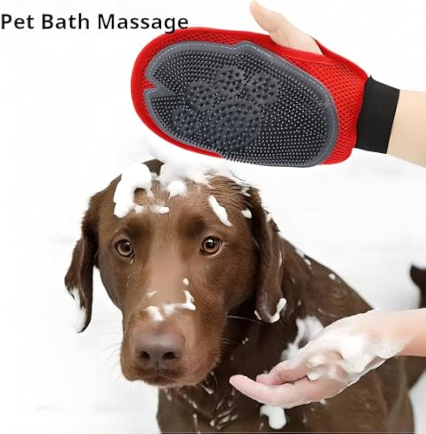 Dog taking the bath with grooming glove.
