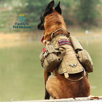 Tactical Dog Harness Vest - Heavy Duty Adjustable
