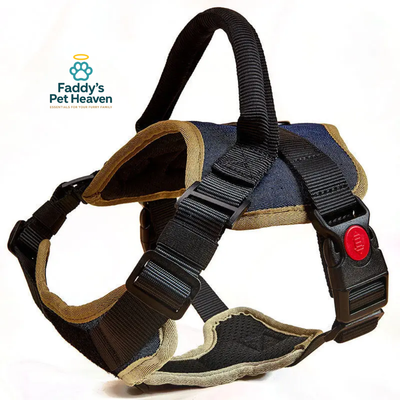 Soft Padded Harness