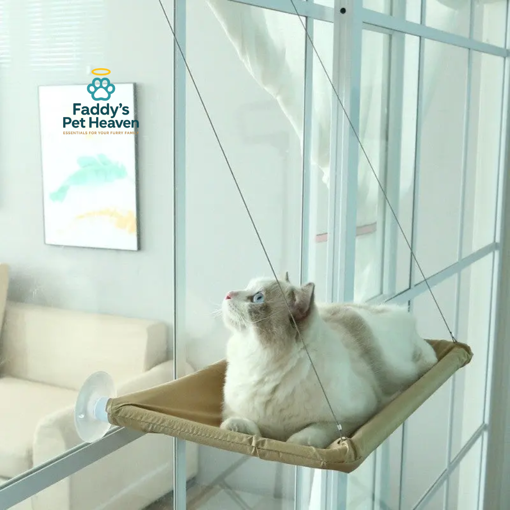 Sunny Window Hammock