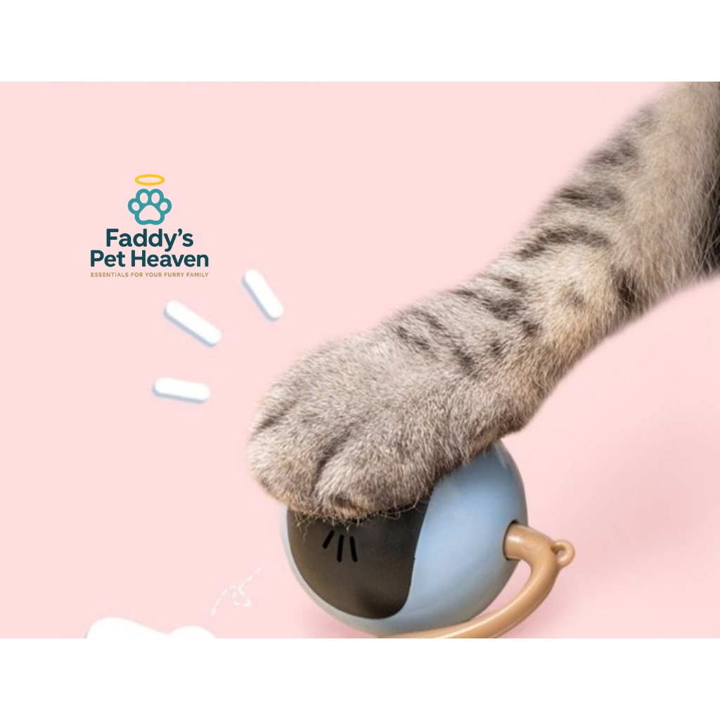 Automatic Cat Toy Ball