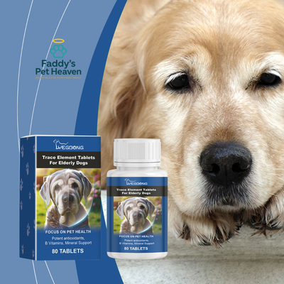 Natural Bone Tablets