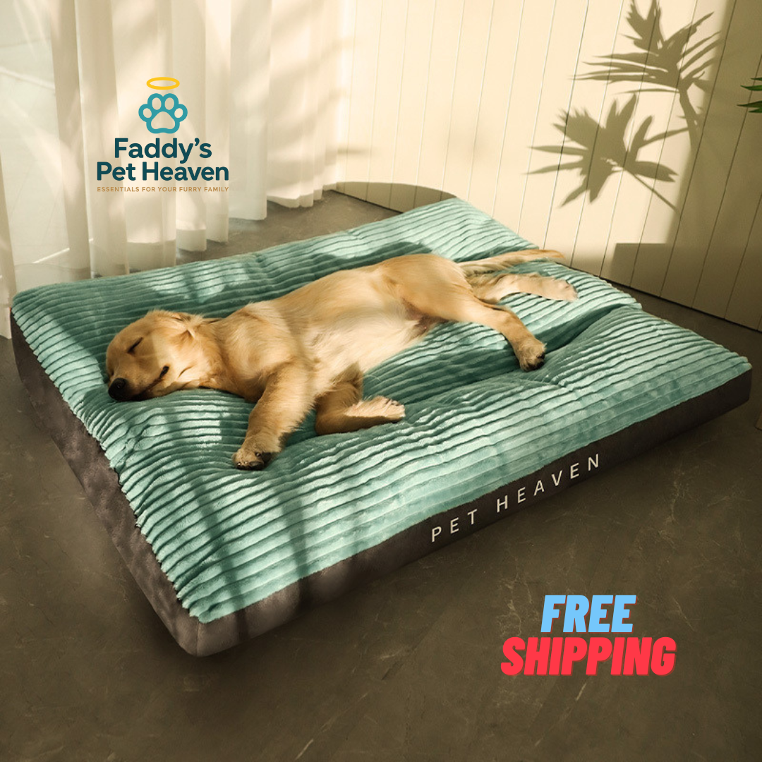 Cozy Haven: Washable Dog & Cat Bed for All Seasons