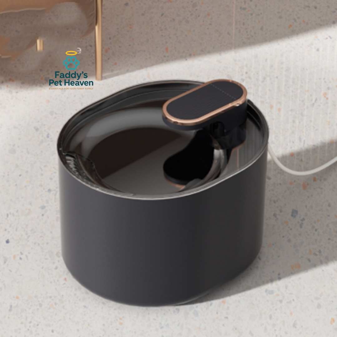 USB-Charged Pet Fountain & Feeder for Dogs & Cats