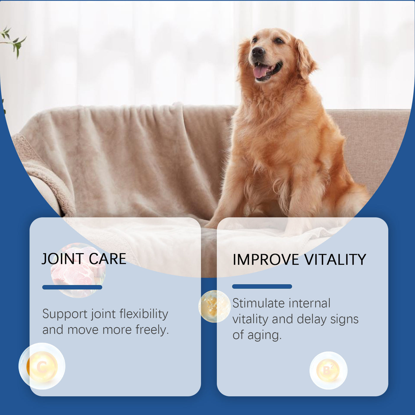 Natural Bone Tablets