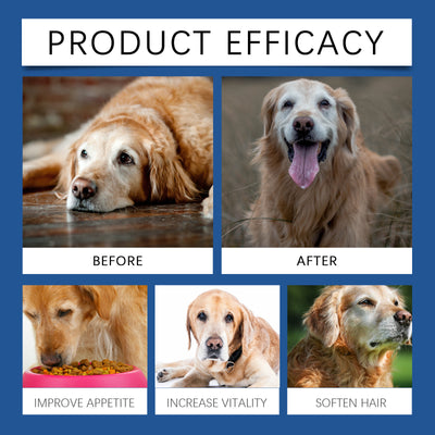 Natural Bone Tablets