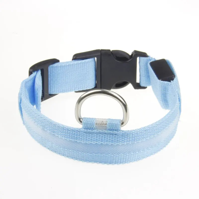 Pet Safety Gear
