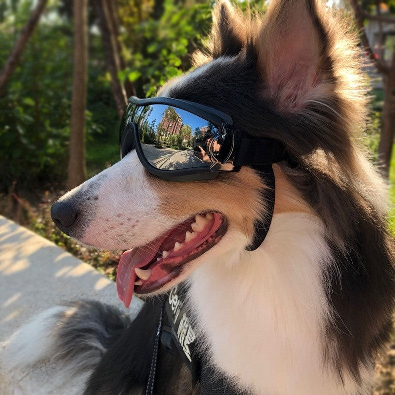 Dog Sunglasses