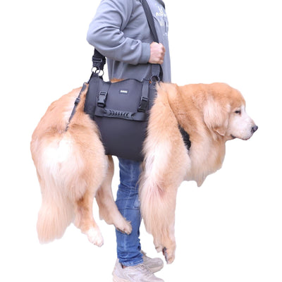 Dog Mobility Support Harness