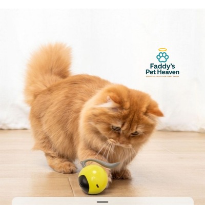 Automatic Cat Toy Ball