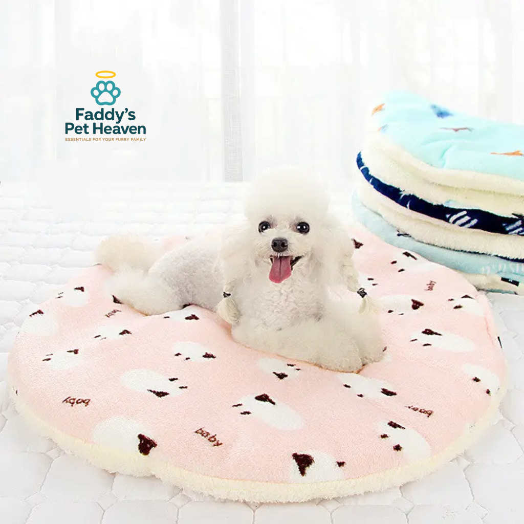 Four Seasons Dog Bed – Cozy, Soft & Stylish!