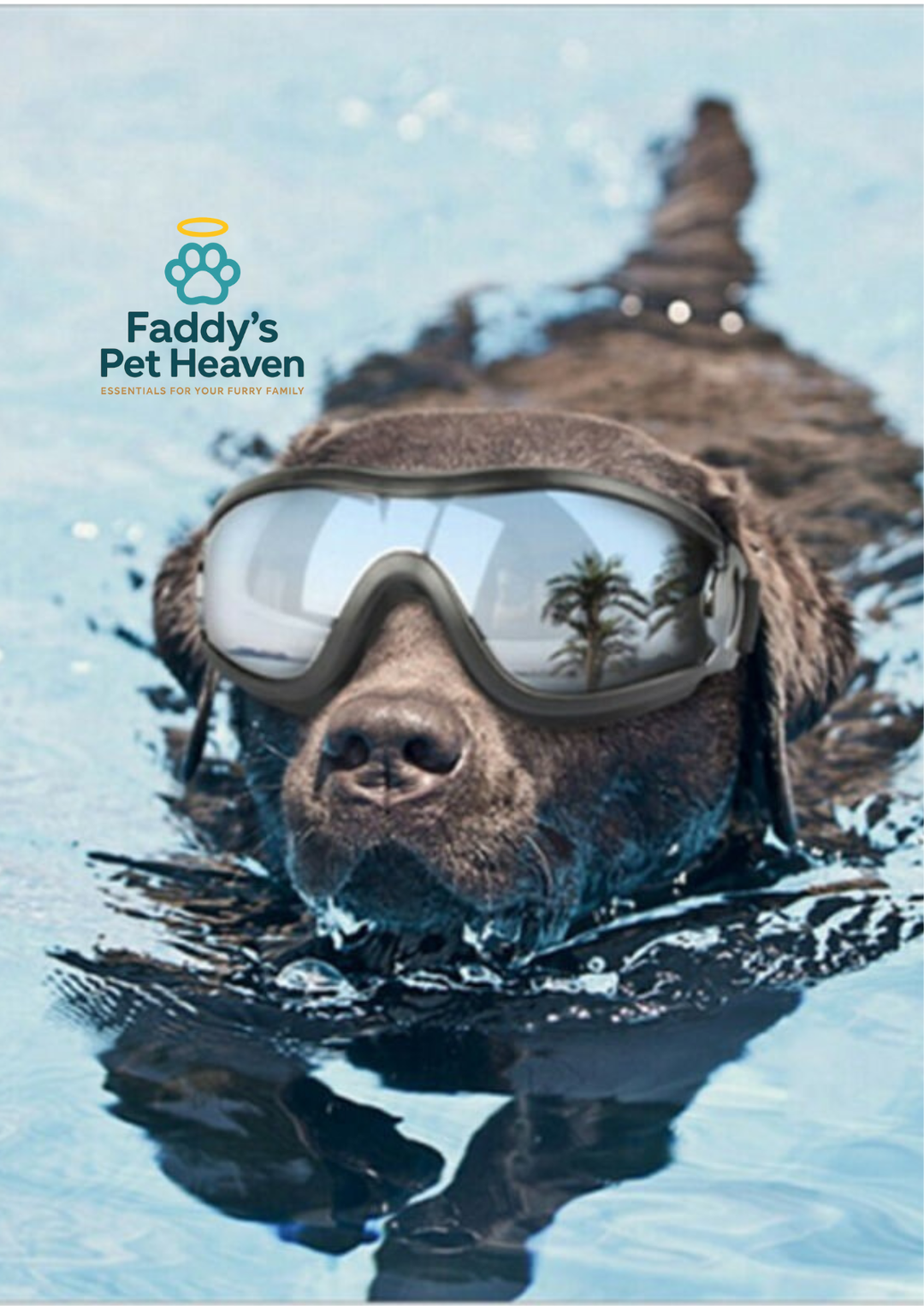 Dog Sunglasses – UV Protection & Waterproof Goggles – Faddy's Pet heaven