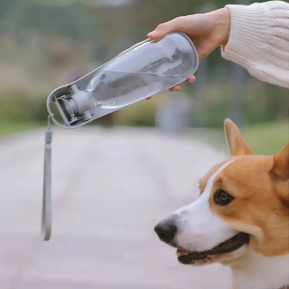Dog Travel Water Bottle - Pet travel water bottle