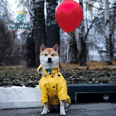 Cozy Waterproof Raincoat for Happy Dry Dog Walks