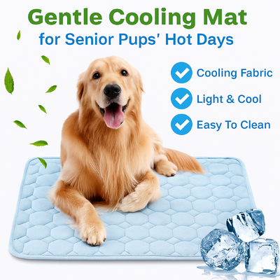 Gentle Cooling Mat for Senior Pups Hot Days